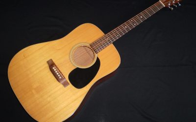 1990 Martin D18  –  £1999