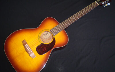 1976 Guild F20  –  £1999